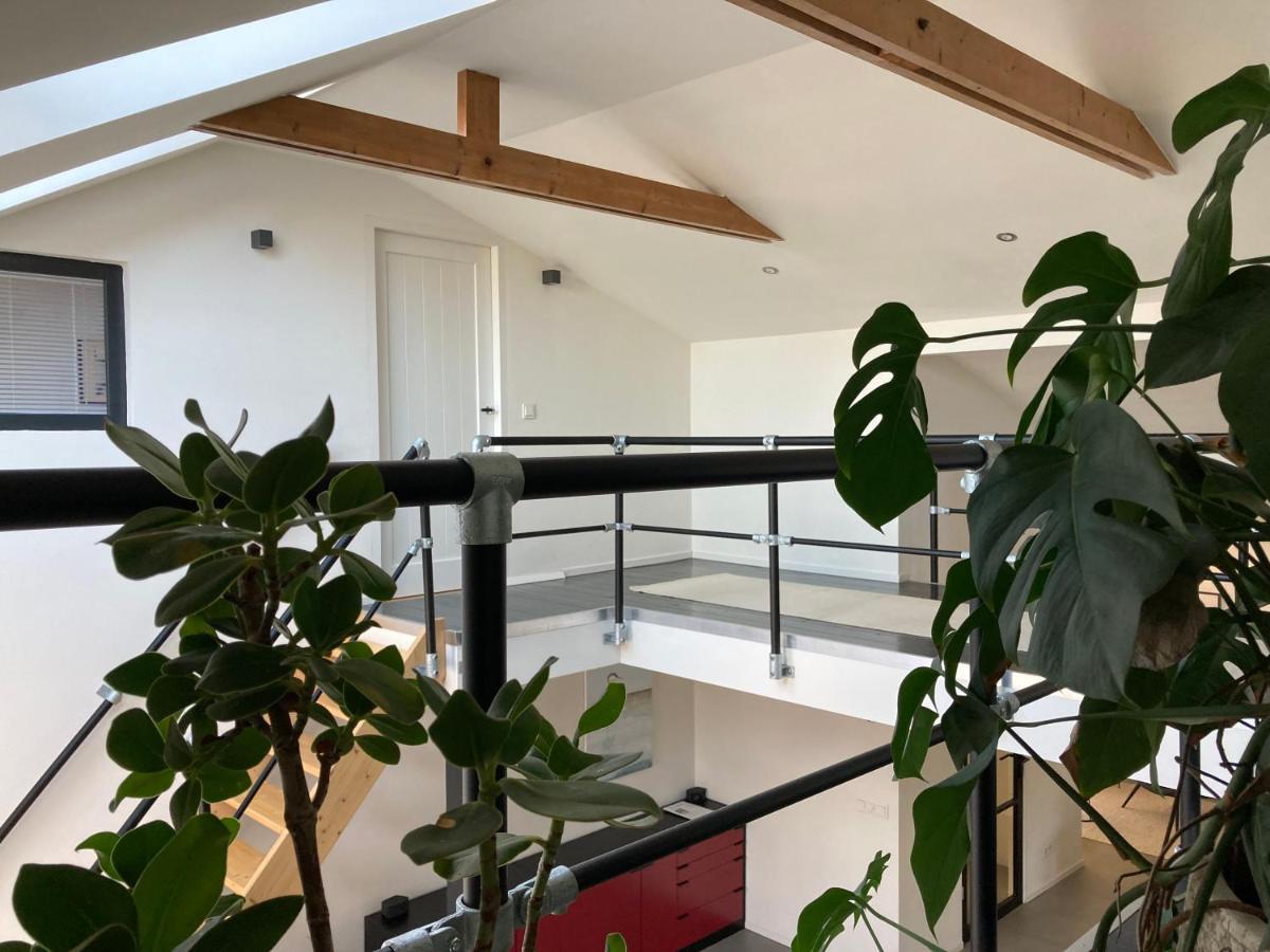 Luxe Met Sauna De Barn